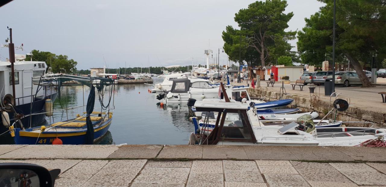 Apartmani Citrus Novigrad Filipac Exterior foto